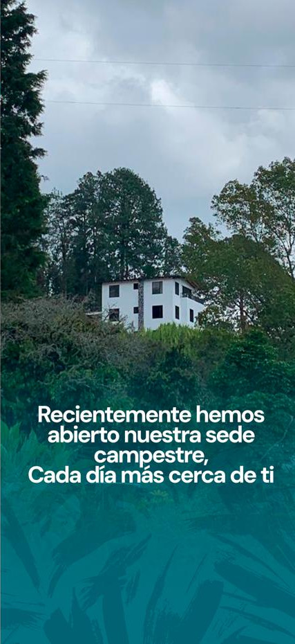 Homeopatía